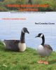 VEVOR Canada Goose Decoys, Outdoors Goose Decoy for Waterfowl Hunting, Durable Plastic Floaters with Ultra Realistic Paint, for Pool, Pond, Lake, Gar