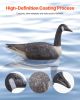 VEVOR Canada Goose Decoys, Outdoors Goose Decoy for Waterfowl Hunting, Durable Plastic Floaters with Ultra Realistic Paint, for Pool, Pond, Lake, Gar