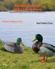 VEVOR Duck Decoys, Realistic Floating Duck Decoys, Weight Forward Swim, Plastic Duck Hunting Decoy Outdoor for Hunting, for Pool, Pond, and Lake, Gar